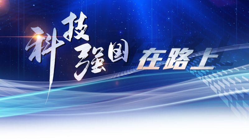 SaaS平台：未来企业数字化转型的新引擎